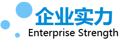 企業實力