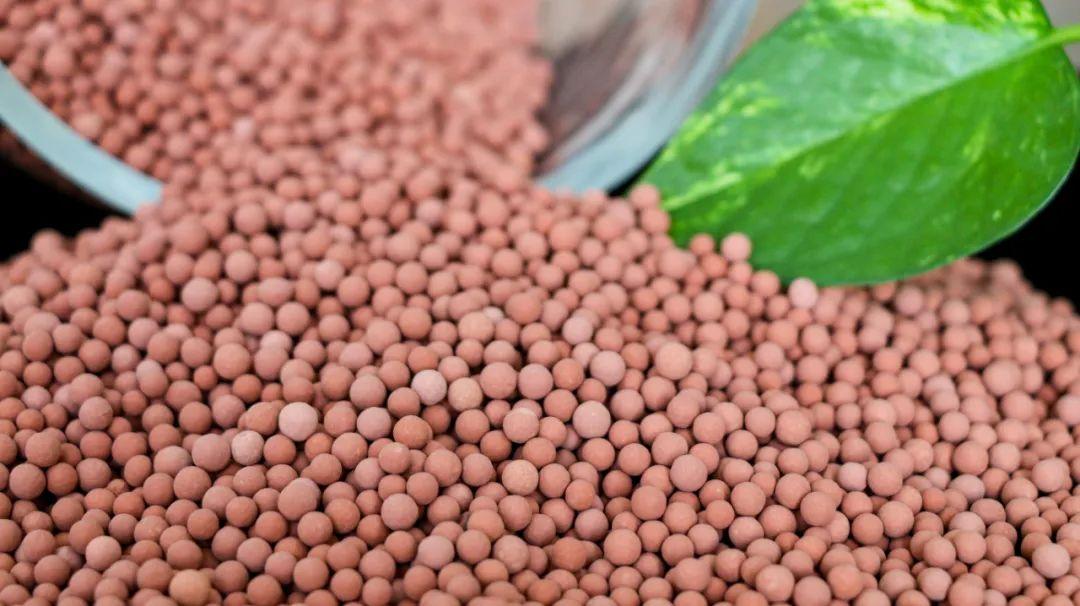 e2fc253bee0847e1a9bb8d4eb502aa75_noop.jpg e2fc253bee0847e1a9bb8d4eb502aa75_noop.jpg